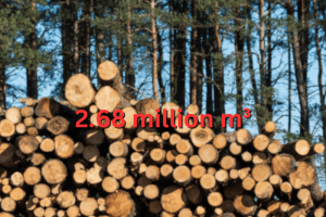 Softwood sales slide to 2.68 million m3