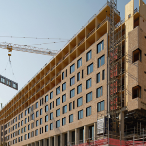 TallTimberBuildings