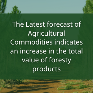 The Latest forecast of Agricultural Commodities indicates an increase in the total value of foresty products The-Latest-forecast-of-Agricultural-Commodities-indicates-an-increase-in-the-total-value-of-foresty-products