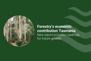 Tas economic report