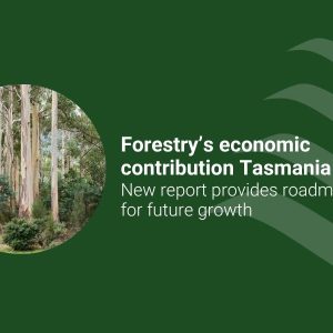 Tas economic report