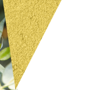 Web_Banners_5 Web_Banners_5