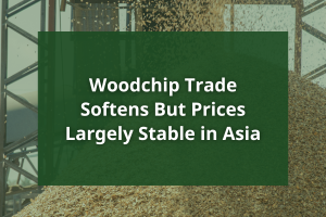 Woodchip Trade Softens But Prices Largely Stable in Asia