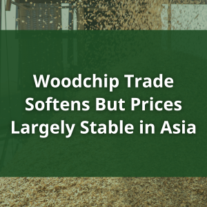 Woodchip Trade Softens But Prices Largely Stable in Asia Woodchip Trade Softens But Prices Largely Stable in Asia