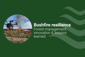 bushfire