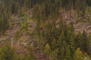 shutterstock_1134759725-scaled