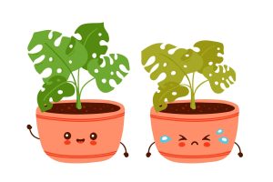 shutterstock_1728194128_Converted-01-scaled