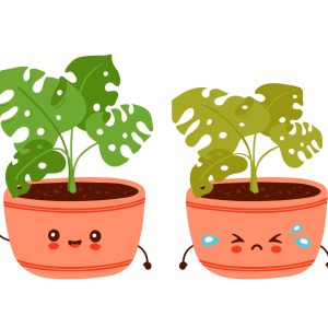 shutterstock_1728194128_Converted-01-scaled shutterstock_1728194128_Converted-01-scaled