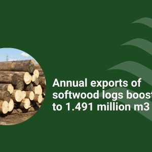 softwood log exports
